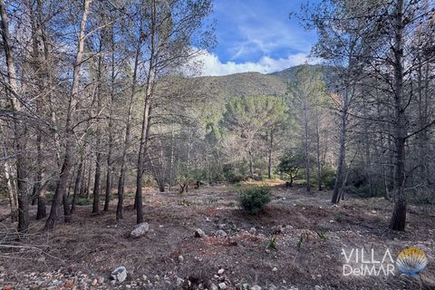 Helårsgrund i Jalon, Alicante, Jalon - € 210.000 | Ref: P-601 - foto 11